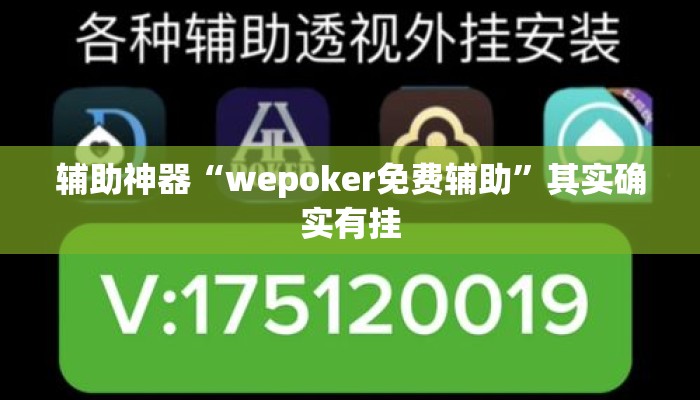 辅助神器“wepoker免费辅助	”其实确实有挂