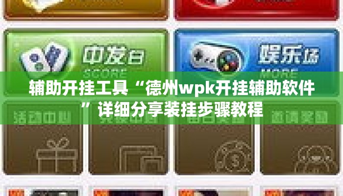 辅助开挂工具“德州wpk开挂辅助软件”详细分享装挂步骤教程