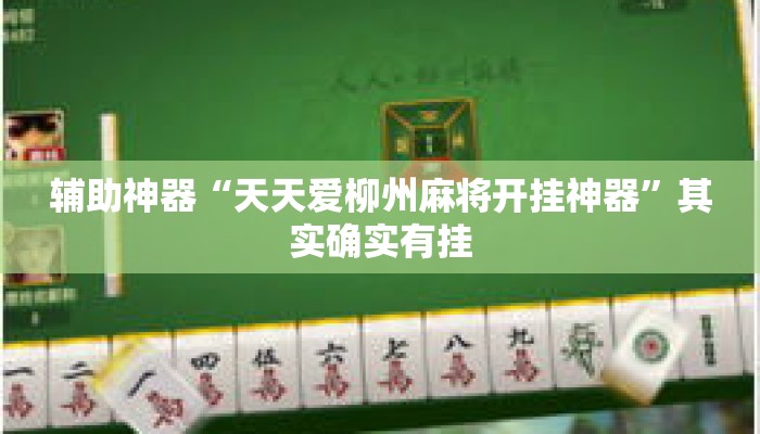 辅助神器“天天爱柳州麻将开挂神器	”其实确实有挂
