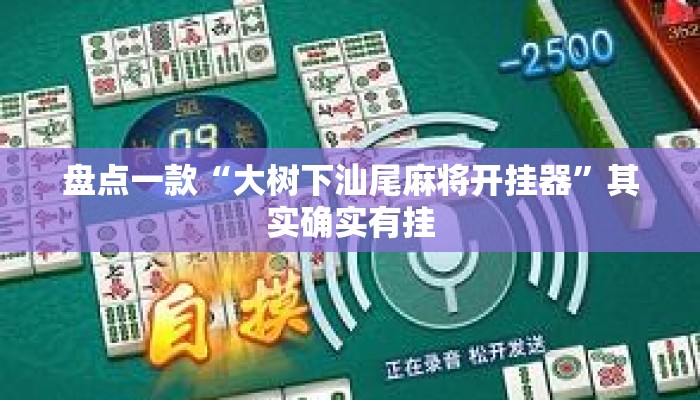 盘点一款“大树下汕尾麻将开挂器”其实确实有挂