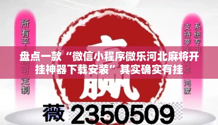 盘点一款“微信小程序微乐河北麻将开挂神器下载安装”其实确实有挂