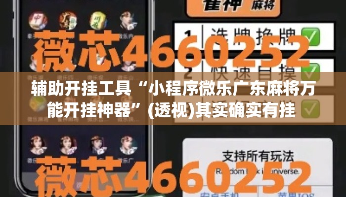 辅助开挂工具“小程序微乐广东麻将万能开挂神器”(透视)其实确实有挂 