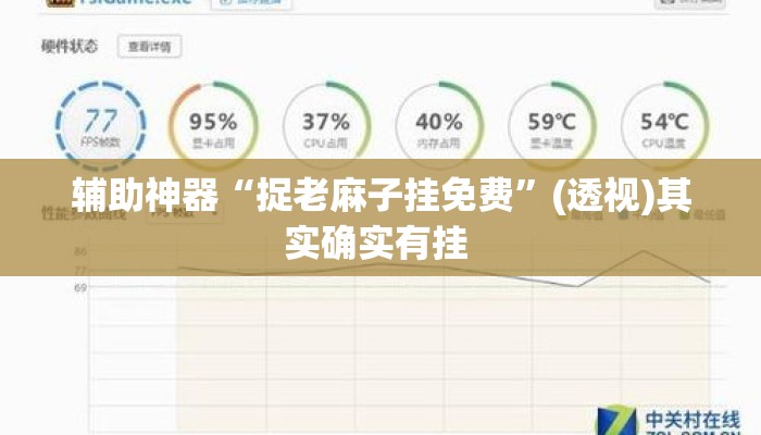 辅助神器“捉老麻子挂免费	”(透视)其实确实有挂 