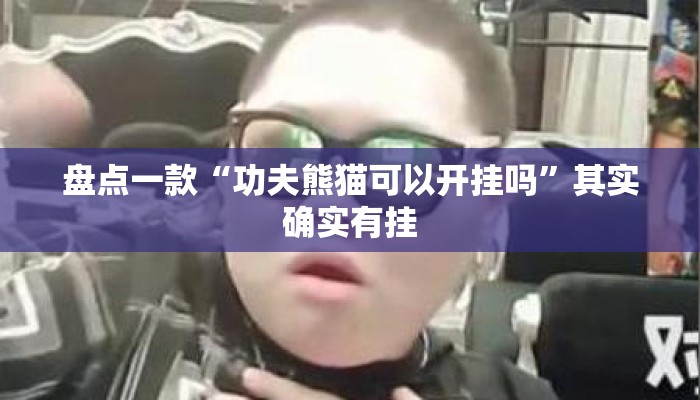 盘点一款“功夫熊猫可以开挂吗	”其实确实有挂