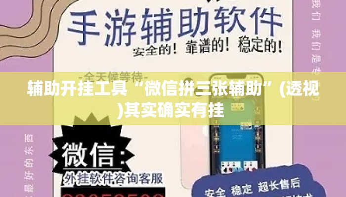 辅助开挂工具“微信拼三张辅助”(透视)其实确实有挂 