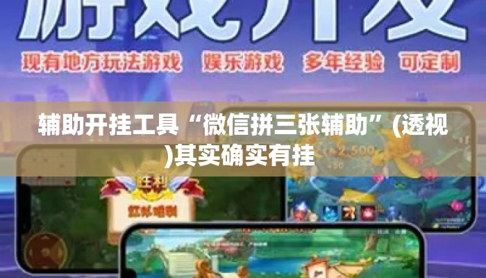 辅助开挂工具“微信拼三张辅助”(透视)其实确实有挂 