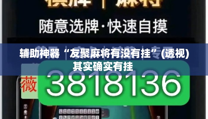 辅助神器“友聚麻将有没有挂”(透视)其实确实有挂 