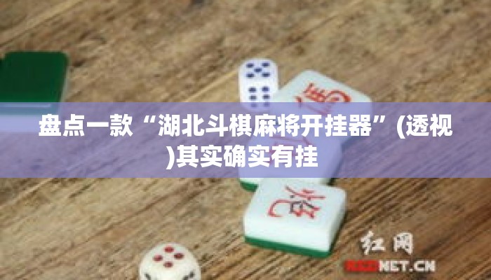 盘点一款“湖北斗棋麻将开挂器”(透视)其实确实有挂 