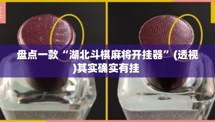 盘点一款“湖北斗棋麻将开挂器”(透视)其实确实有挂 