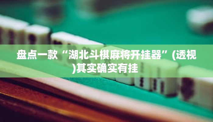 盘点一款“湖北斗棋麻将开挂器	”(透视)其实确实有挂 