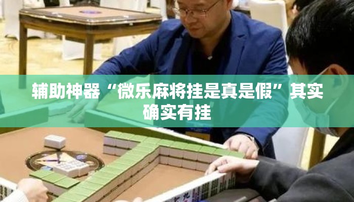 辅助神器“微乐麻将挂是真是假”其实确实有挂