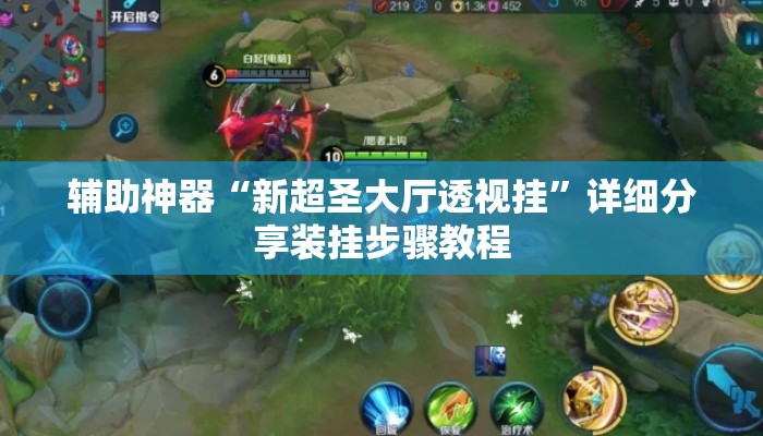 辅助神器“新超圣大厅透视挂	”详细分享装挂步骤教程