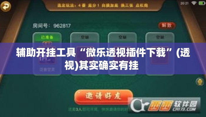 辅助开挂工具“微乐透视插件下载”(透视)其实确实有挂 