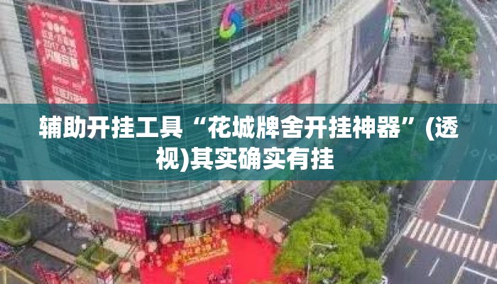 辅助开挂工具“花城牌舍开挂神器	”(透视)其实确实有挂 