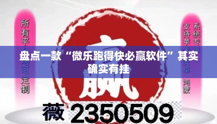 盘点一款“微乐跑得快必赢软件”其实确实有挂