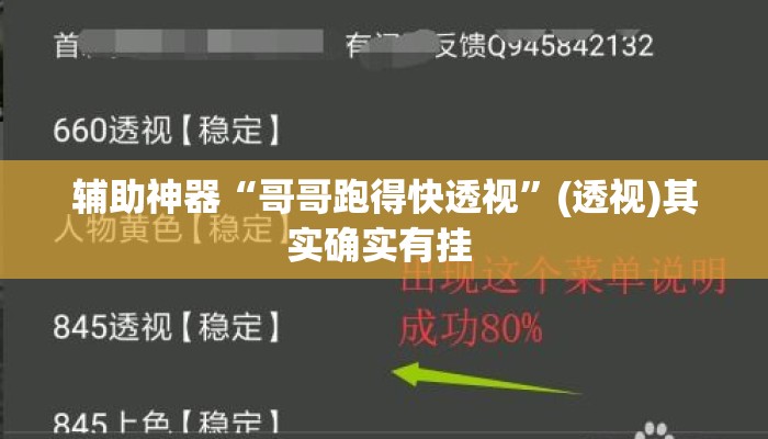辅助神器“哥哥跑得快透视	”(透视)其实确实有挂 