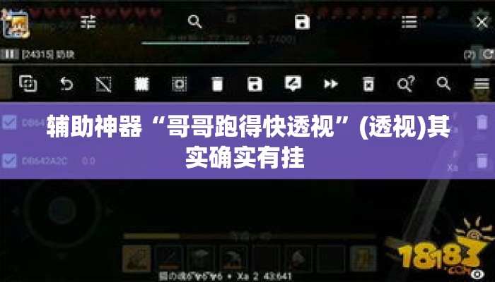 辅助神器“哥哥跑得快透视”(透视)其实确实有挂 