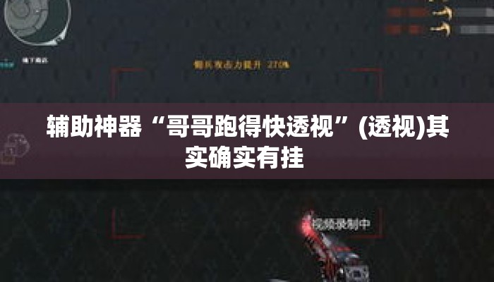 辅助神器“哥哥跑得快透视	”(透视)其实确实有挂 