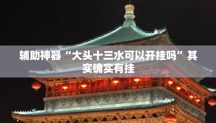 辅助神器“大头十三水可以开挂吗	”其实确实有挂