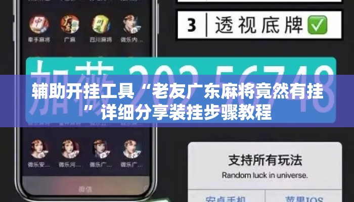辅助开挂工具“老友广东麻将竟然有挂”详细分享装挂步骤教程