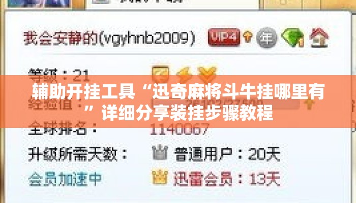 辅助开挂工具“迅奇麻将斗牛挂哪里有”详细分享装挂步骤教程