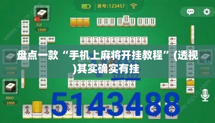 盘点一款“手机上麻将开挂教程”(透视)其实确实有挂 