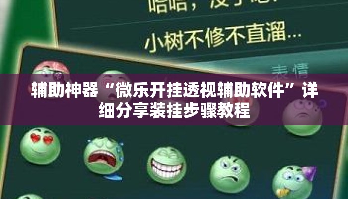 辅助神器“微乐开挂透视辅助软件”详细分享装挂步骤教程