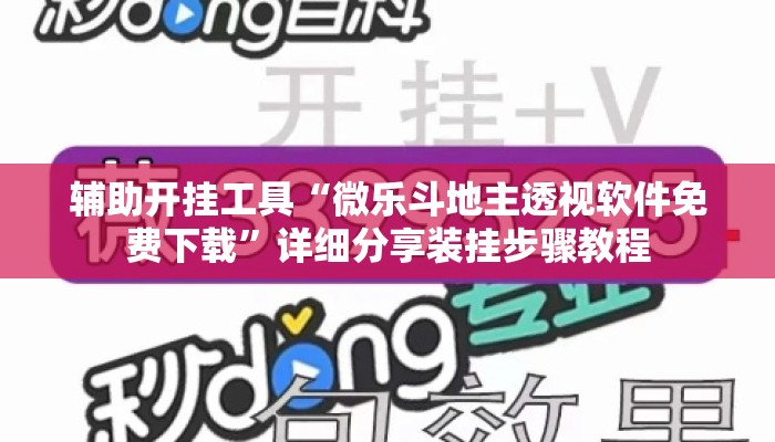 辅助开挂工具“微乐斗地主透视软件免费下载”详细分享装挂步骤教程