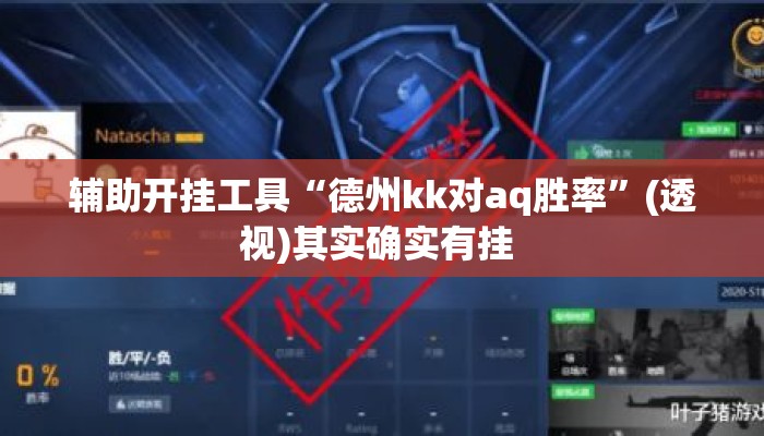 辅助开挂工具“德州kk对aq胜率”(透视)其实确实有挂 