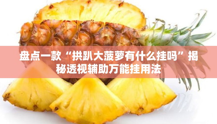 盘点一款“拱趴大菠萝有什么挂吗”揭秘透视辅助万能挂用法