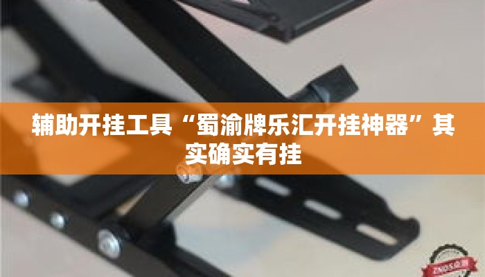 辅助开挂工具“蜀渝牌乐汇开挂神器	”其实确实有挂