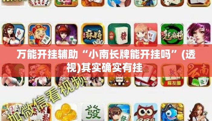 万能开挂辅助“小南长牌能开挂吗”(透视)其实确实有挂 