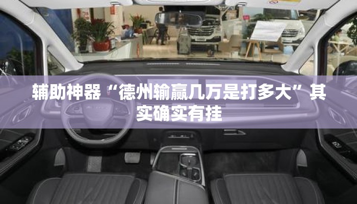 辅助神器“德州输赢几万是打多大”其实确实有挂