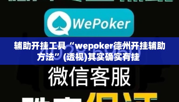 辅助开挂工具“wepoker德州开挂辅助方法	”(透视)其实确实有挂 