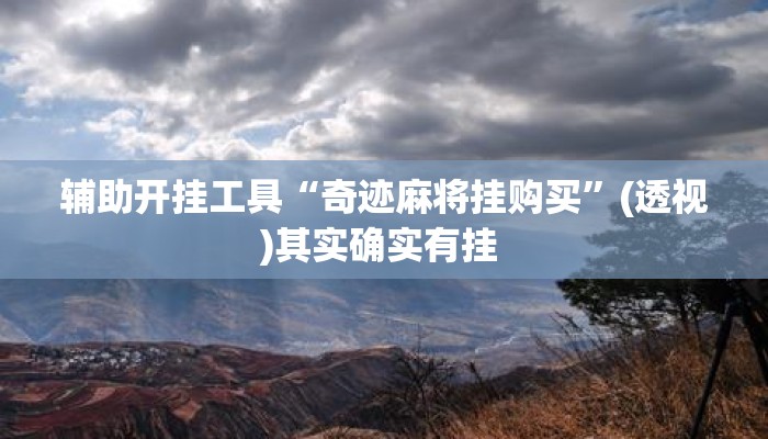 辅助开挂工具“奇迹麻将挂购买”(透视)其实确实有挂 