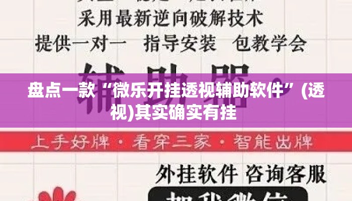 盘点一款“微乐开挂透视辅助软件	”(透视)其实确实有挂 