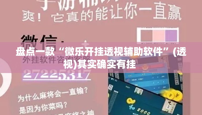 盘点一款“微乐开挂透视辅助软件”(透视)其实确实有挂 