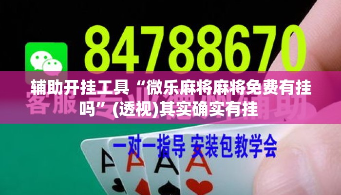 辅助开挂工具“微乐麻将麻将免费有挂吗”(透视)其实确实有挂 