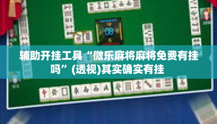 辅助开挂工具“微乐麻将麻将免费有挂吗”(透视)其实确实有挂 