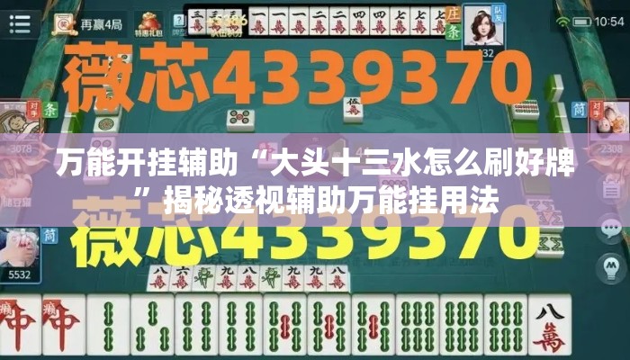 万能开挂辅助“大头十三水怎么刷好牌”揭秘透视辅助万能挂用法