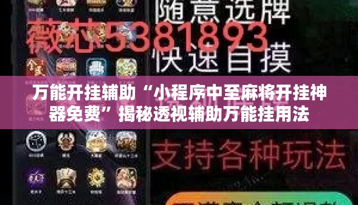 万能开挂辅助“小程序中至麻将开挂神器免费”揭秘透视辅助万能挂用法