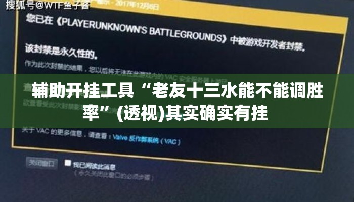 辅助开挂工具“老友十三水能不能调胜率”(透视)其实确实有挂 