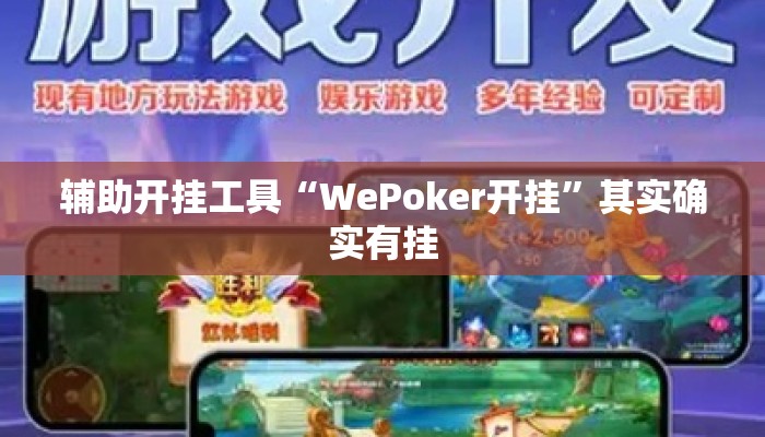 辅助开挂工具“WePoker开挂”其实确实有挂