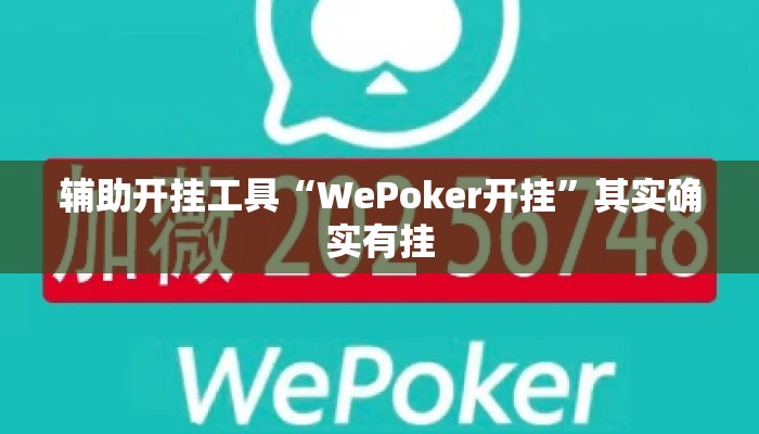辅助开挂工具“WePoker开挂	”其实确实有挂