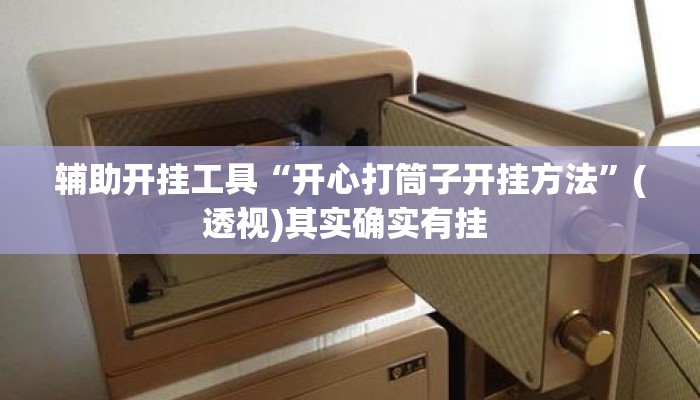 辅助开挂工具“开心打筒子开挂方法”(透视)其实确实有挂 