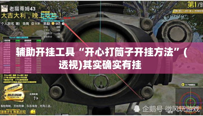 辅助开挂工具“开心打筒子开挂方法”(透视)其实确实有挂 