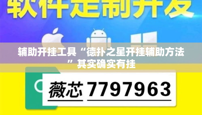 辅助开挂工具“德扑之星开挂辅助方法	”其实确实有挂