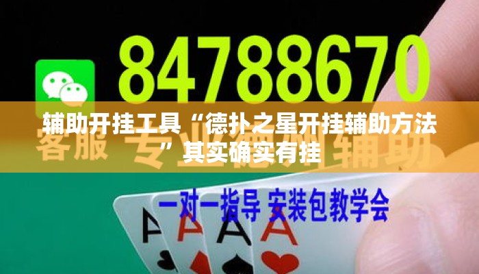 辅助开挂工具“德扑之星开挂辅助方法	”其实确实有挂
