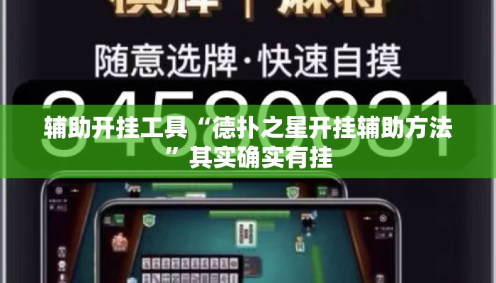 辅助开挂工具“德扑之星开挂辅助方法	”其实确实有挂