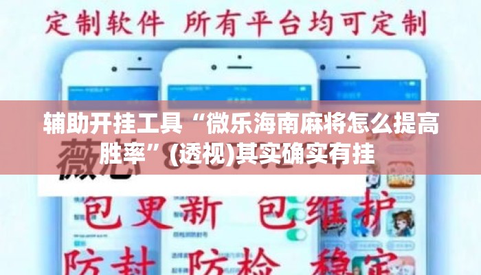 辅助开挂工具“微乐海南麻将怎么提高胜率	”(透视)其实确实有挂 
